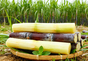 甘蔗摆放在竹篮中