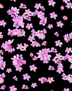 碎花