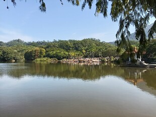 宁静湖景