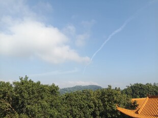 蓝天绿树间的屋顶景致