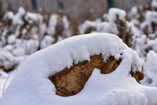 雪覆石块