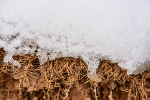 雪覆干草景象