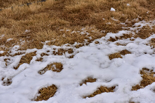 残雪覆盖的褐色土地