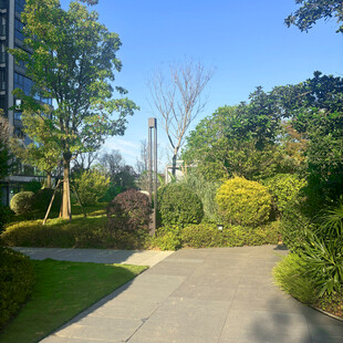 阳光明媚的园林景观小径