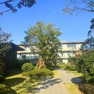 庭院绿植环绕的现代建筑