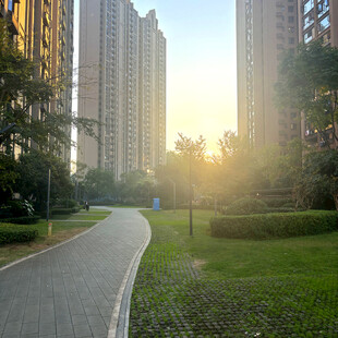 阳光照耀下的城市小区道路