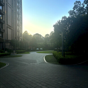 清晨小区内的静谧道路