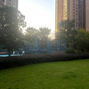 城市草坪旁的高楼与晨光