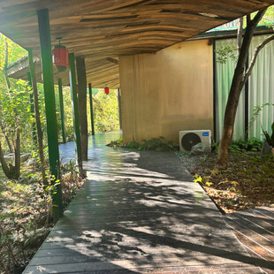 户外木质廊下的静谧小道