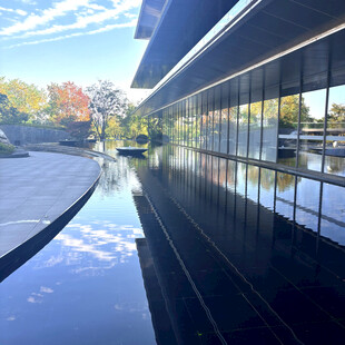 现代建筑旁的静谧水景