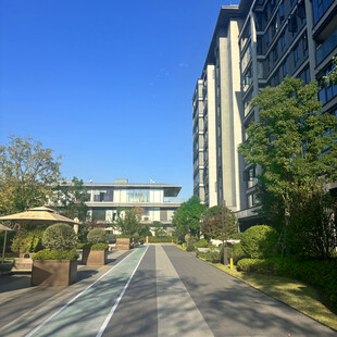 现代小区景观道路风光