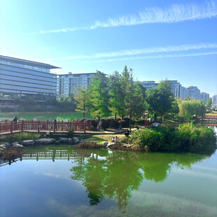 湖畔城市风光美景