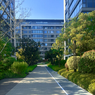 现代都市中的绿意景观道