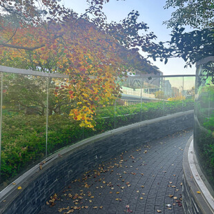 秋日雨中蜿蜒的湿润小径