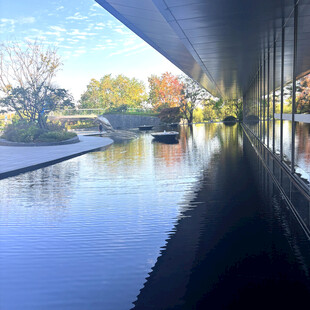 现代建筑旁的宁静水景