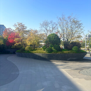 秋日公园景观一角