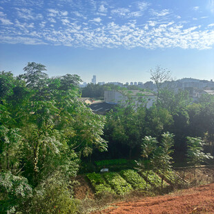 乡村田园风光美景