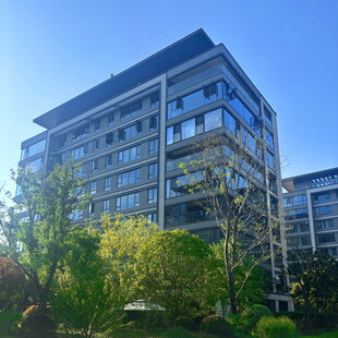 现代风格高楼与周边绿植