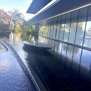 现代建筑旁的宁静水景