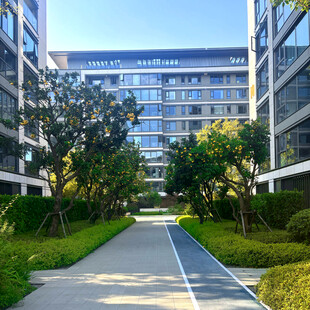 现代小区景观道路