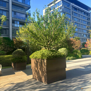 现代小区绿植景观