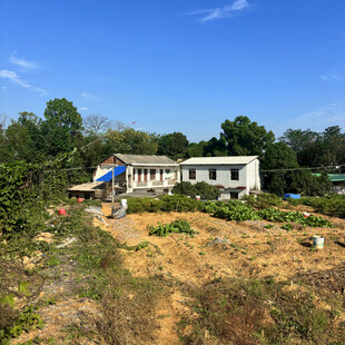 乡村田园中的自建房屋