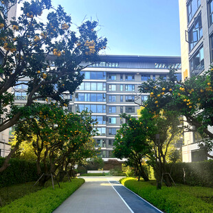 小区内的绿化景观道路