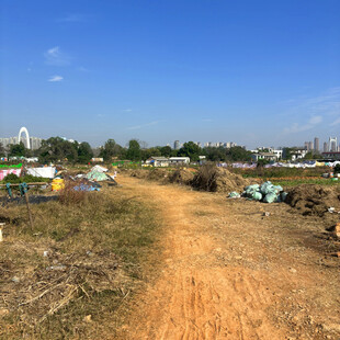 乡村土路旁的多彩帐篷