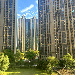 高层住宅旁的绿意景观