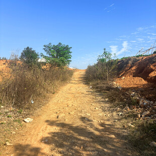 荒野中的黄土小路