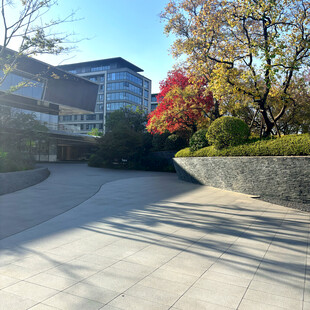 秋日校园建筑旁的开阔道路