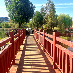 红色木桥漫步于秋日湖畔