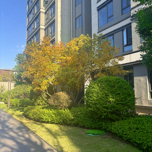 小区绿植环绕的优美景致