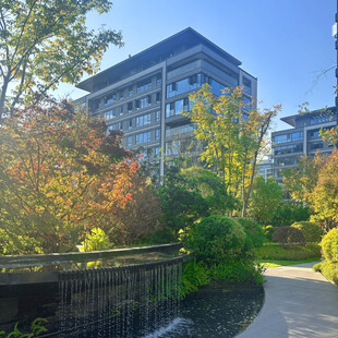 秋日小区的优美园林景致