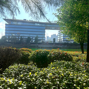 园区绿植环绕的现代建筑