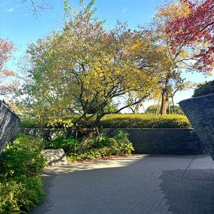 秋日园林小径美景