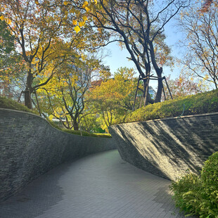 秋日林间幽静小道