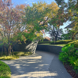 秋日林荫小道景观