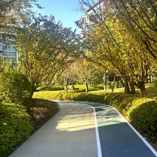 秋日林间的多彩健身步道