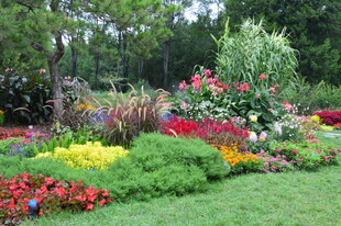 天坛花境风景 