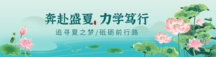 荷花海报设计展板