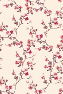 中式粉色花卉纹理图案