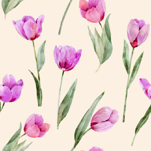 水彩粉色郁金香花卉图案