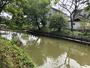 乡村小河畔的宁静景致