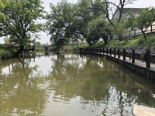 宁静河畔风景