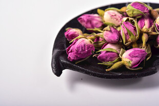 玫瑰花苞 