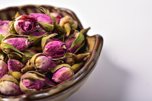 玫瑰花蕾