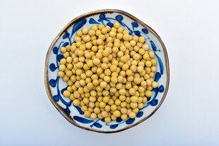 黄豆