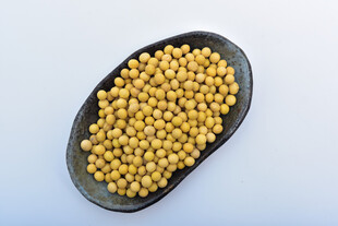 黄豆