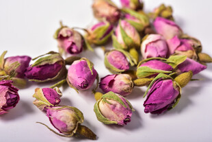 玫瑰花苞